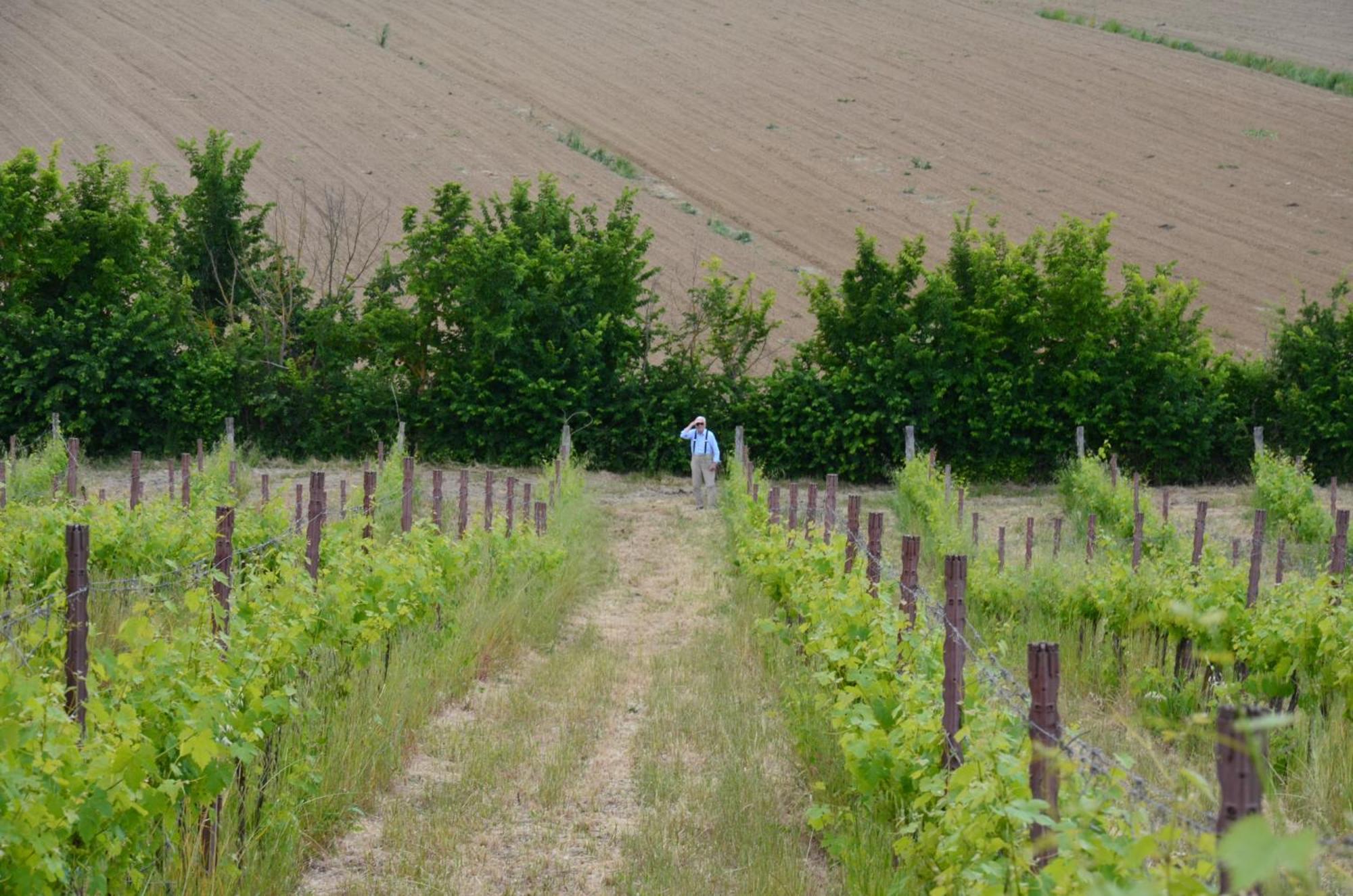 Monteroni dʼArbia Agriturismo Sant'Alfredo المظهر الخارجي الصورة